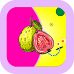 Download do aplicativo Papaya 汅api nova versão gratuita