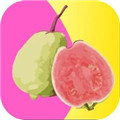 A entrada gratuita do aplicativo de mídia Mimosa lhe dá as boas-vindas para sempre grátis