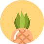 aplicativo durian